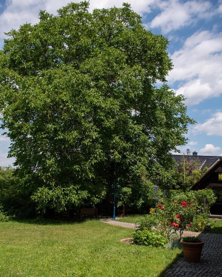 Ferienhaus Ostrauer Hof Bad Schandau Exterior photo